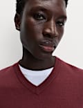 Pure Cotton V-Neck Jumper