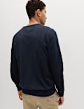 Pure Cotton V-Neck Jumper