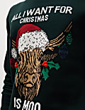 Pure Cotton Crew Neck Christmas Jumper