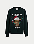 Pure Cotton Crew Neck Christmas Jumper