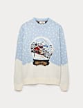 Pure Cotton Ski Snow Globe Christmas Jumper
