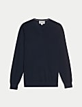 Pure Extra Fine Merino Wool V-Neck Jumper