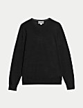 Pure Extra Fine Merino Wool V-Neck Jumper