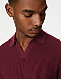 Textured Knitted Polo Shirt with Linen