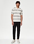 Cotton Rich Striped Knitted Polo Shirt