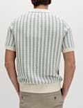 Pure Cotton Textured Striped Knitted Polo Shirt