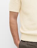 Pure Cotton Textured Striped Knitted Polo Shirt
