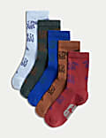 Lot de 5&nbsp;paires de chaussettes en coton à motif ours