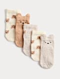 5pk Cotton Rich Spencer Bear Socks (0-3 Yrs)