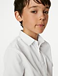  5pk Boys' Regular Fit Easy to Iron School Shirts (2-18 Yrs)