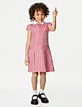 Girls' Gingham Pleated School Dress (2-14 Yrs)