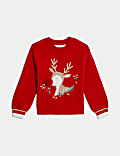 Reindeer Christmas Jumper (1-8 Yrs)