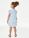 Embroidered Tulle Dress (2-16 Yrs)