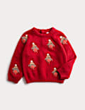 Cotton Blend Robin Knitted Jumper (0 Mths-3 Yrs)