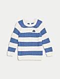 Pure Cotton Striped Dinosaur Jumper (0-3 Yrs)