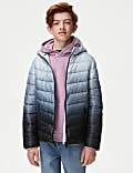 Light Weight Ombre Padded Coat (6-16 Yrs)