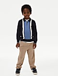 Pure Cotton Striped Knitted Zip Polo Shirt (2-8 Yrs)