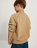 Cotton Rich Graphic Sweatshirt (2-8 Yrs)