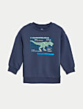 Cotton Rich Dinosaur Sweatshirt (2-8 Yrs)