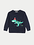 Christmas Dinosaur Knitted Jumper (2-8 Yrs)