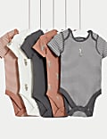 5pk Cotton Rich Bear & Striped Bodysuits (6½lbs-3 Yrs)