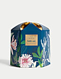Talc Trio 50g