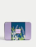 Lavender Gift Set