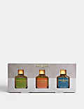 Eau De Toilette Collection