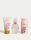 Minis Coffret Gift Set