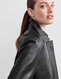 Pure Leather Collared Short Jacket
