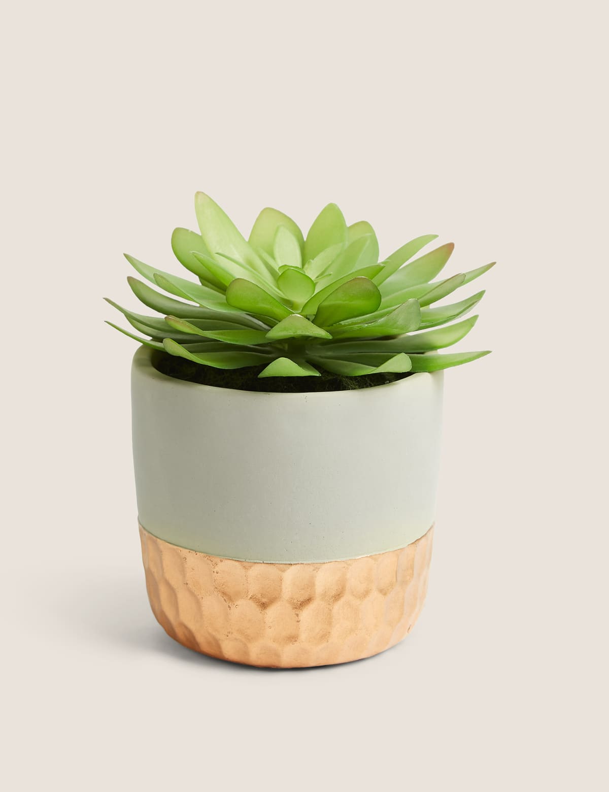 

Marks & Spencer Artificial Succulent in Metallic Base Pot (GREEN)