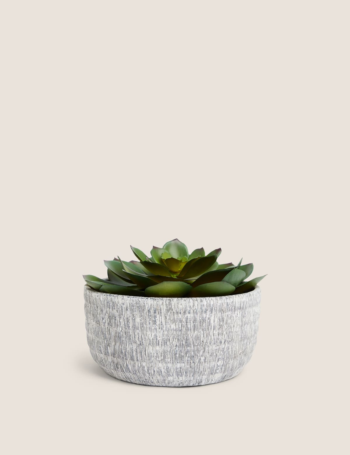 

Marks & Spencer Artificial Echeveria in Concrete Pot (GREEN)