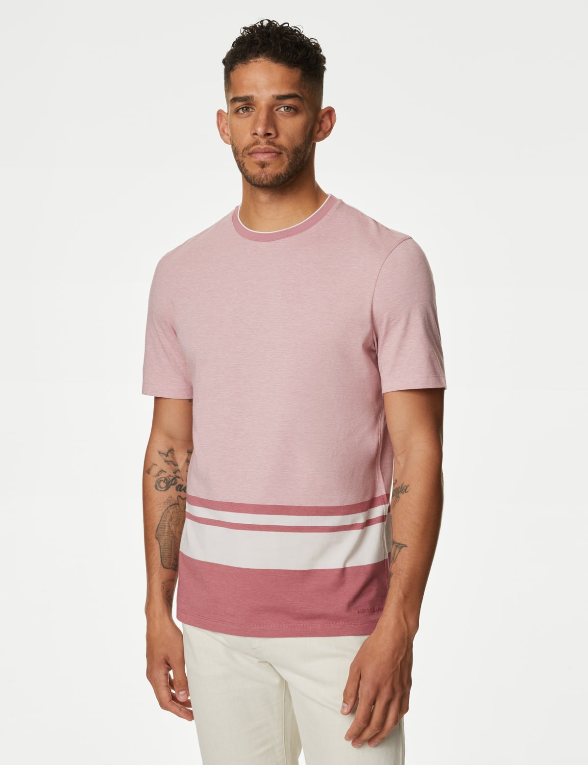 

Marks & Spencer Pure Cotton Striped T-Shirt (MALE, SPICE MIX, L-REG)