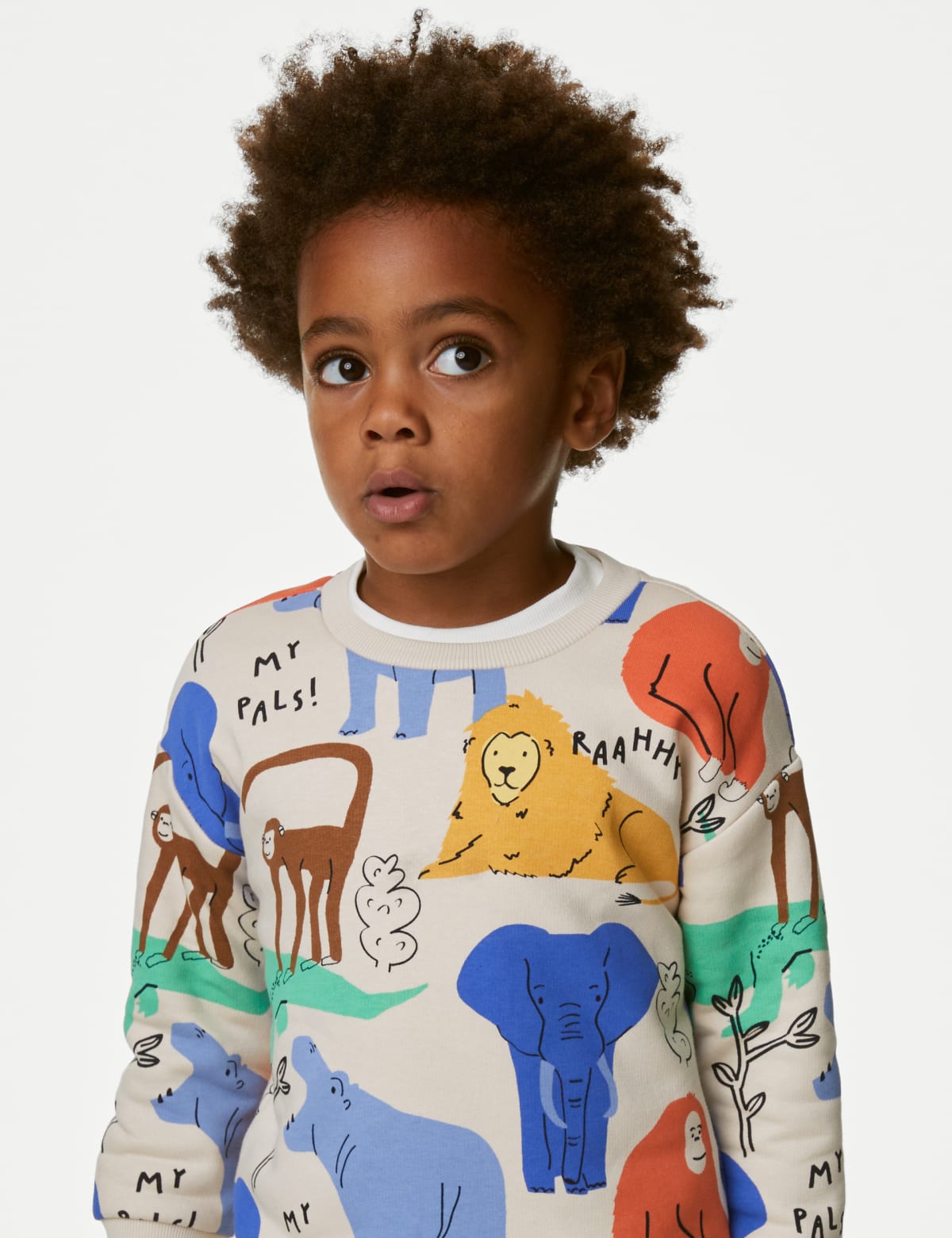 

Marks & Spencer Cotton Rich Animal Sweatshirt (2-8 Yrs) (BOYS, CALICO MIX, 4-5 Y)