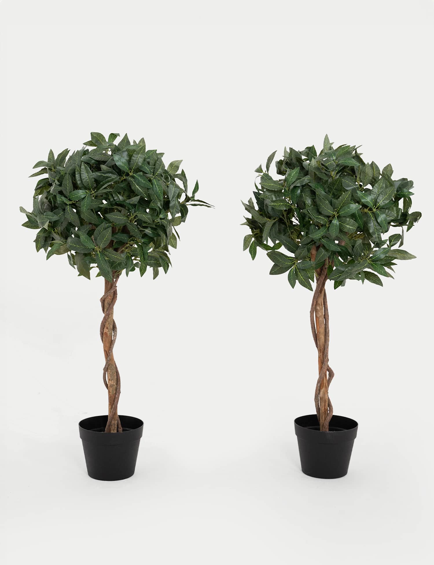 Blooming Artificial 3ft Set of 2 Artificial Bay Trees in Pots Green