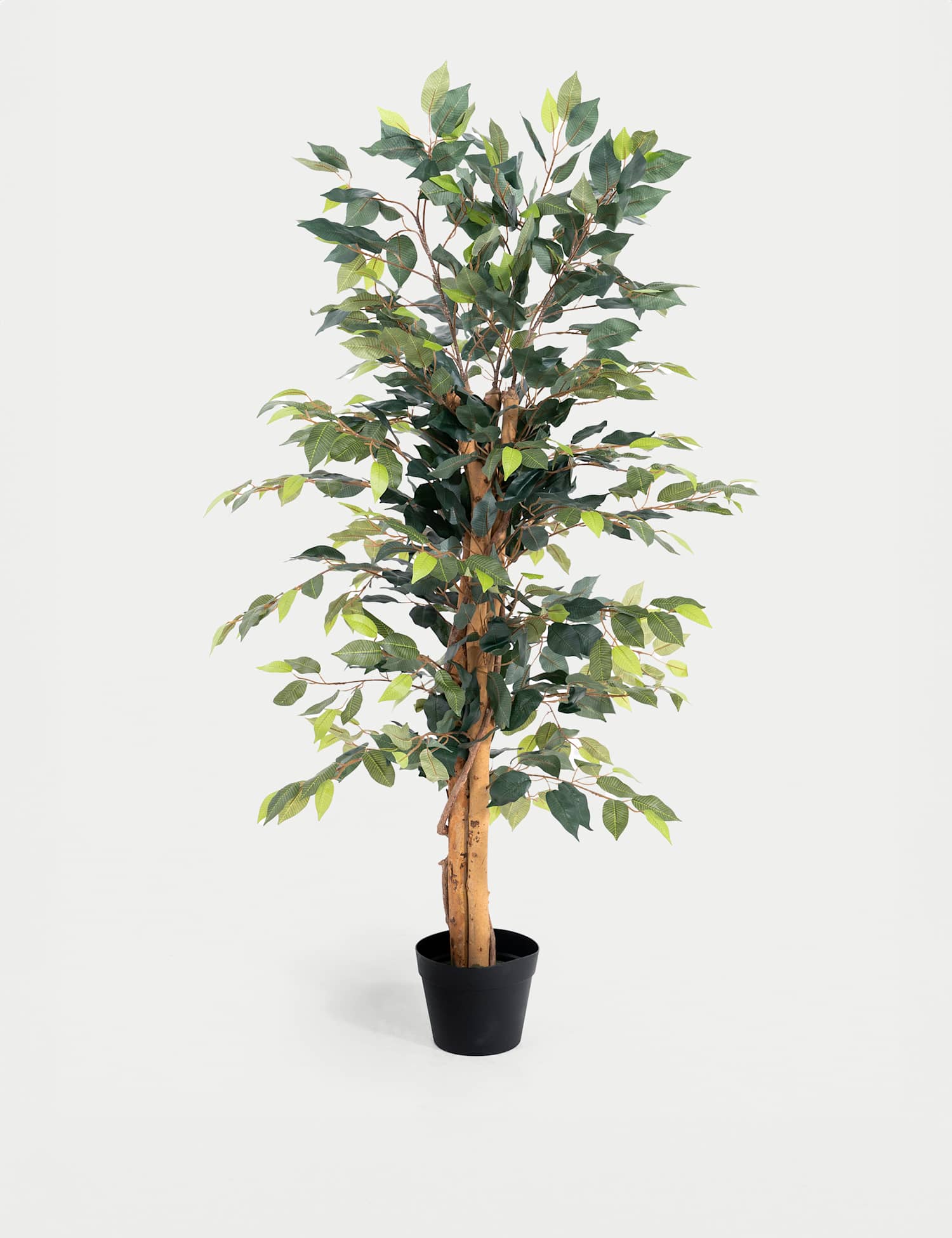 Blooming Artificial 4ft Artificial Ficus Tree in Pot Green