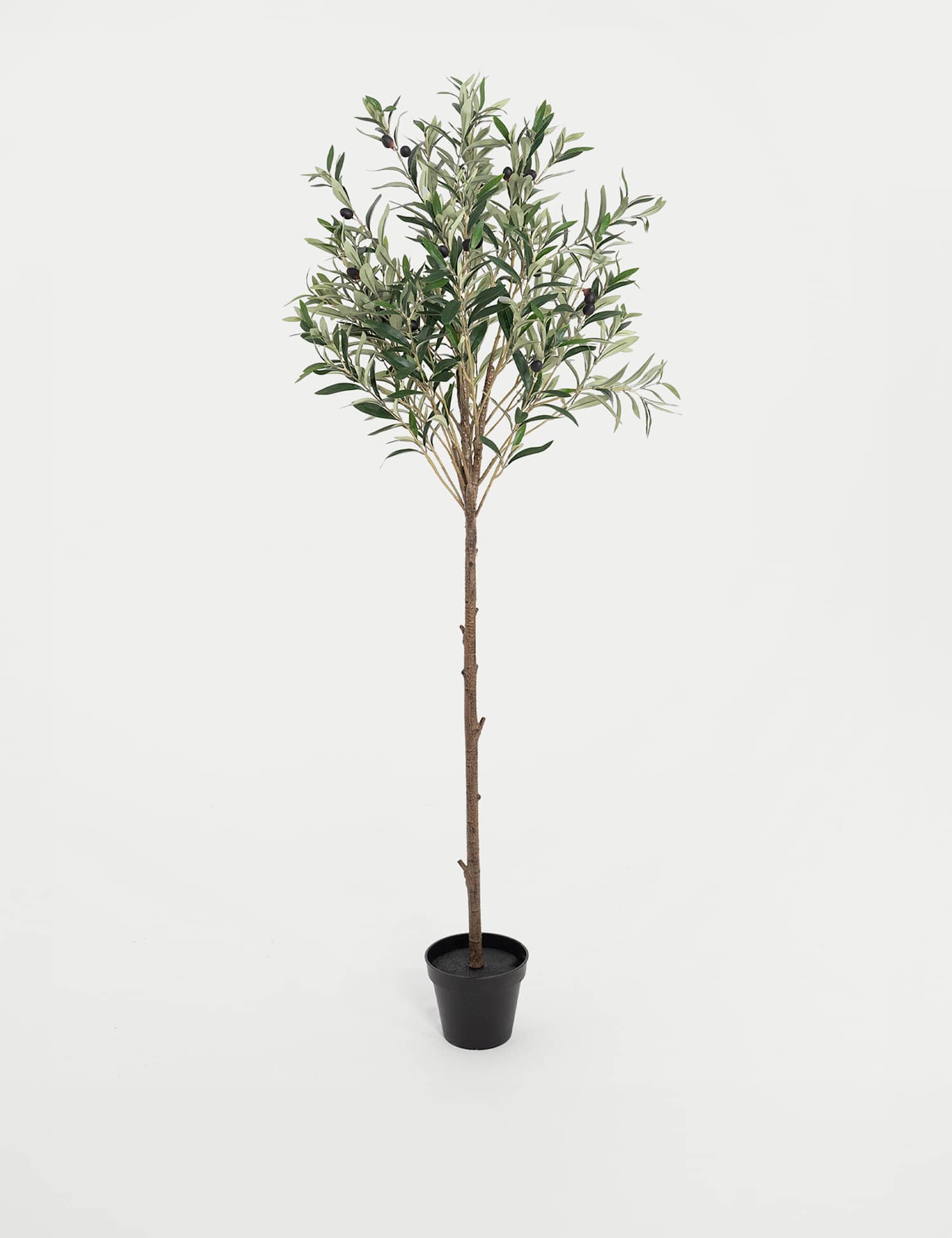 Blooming Artificial 4.5ft Artificial Mediterranean Olive Tree Green