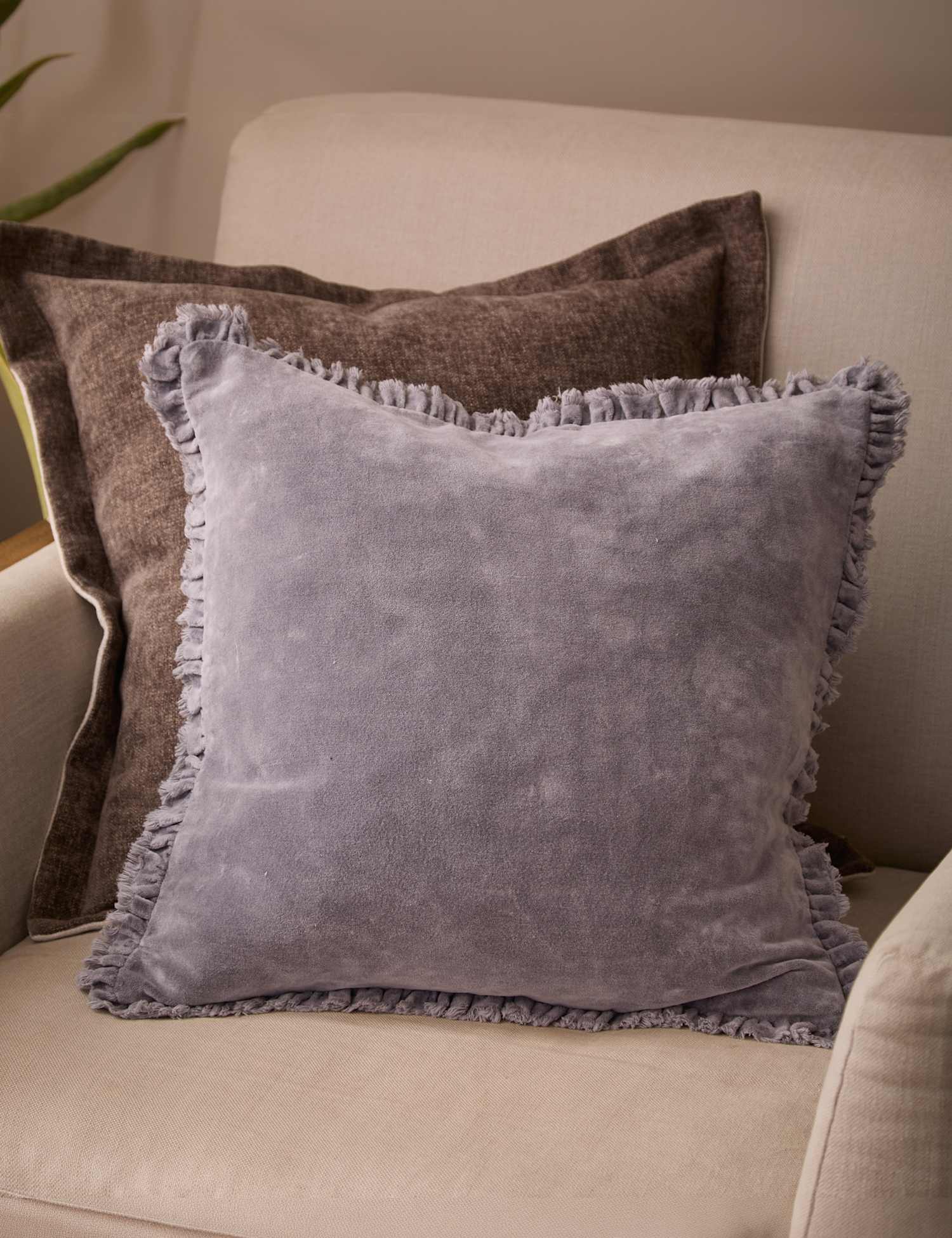 YARD Bertie Cotton Velvet Cushion Mauve