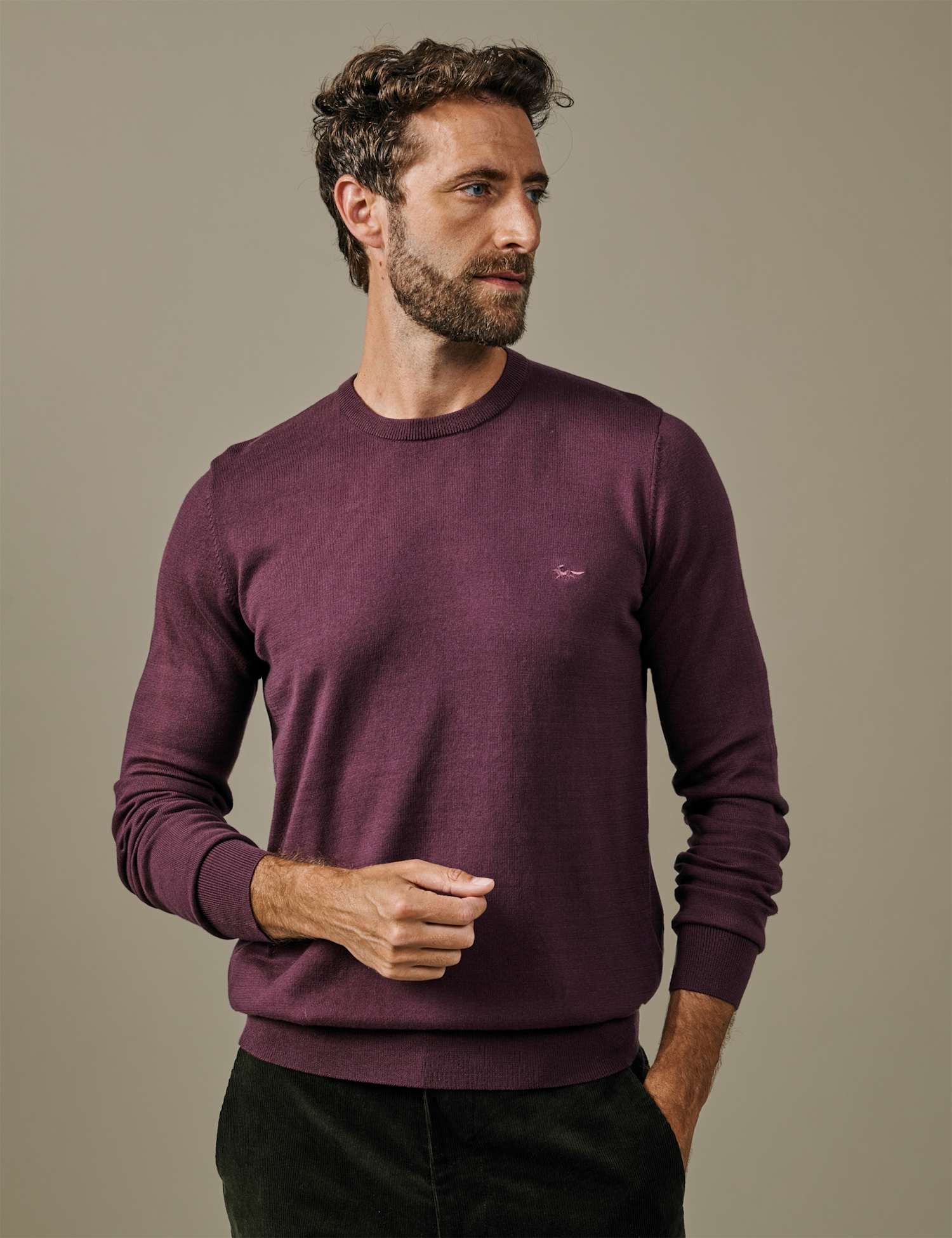Aubin Pure Cotton Crew Neck Jumper Purple