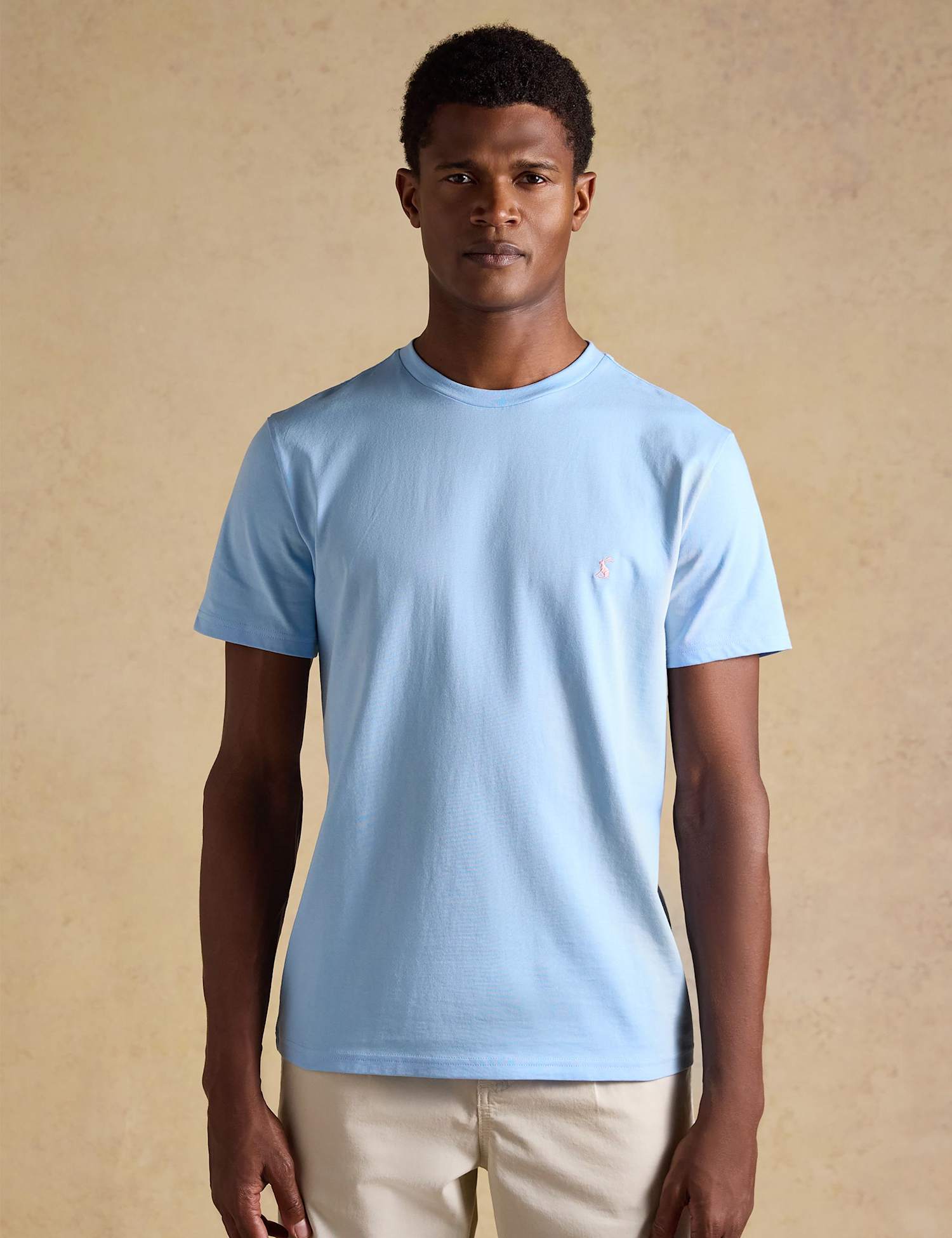 Joules Pure Cotton Crew Neck T-Shirt Light Blue