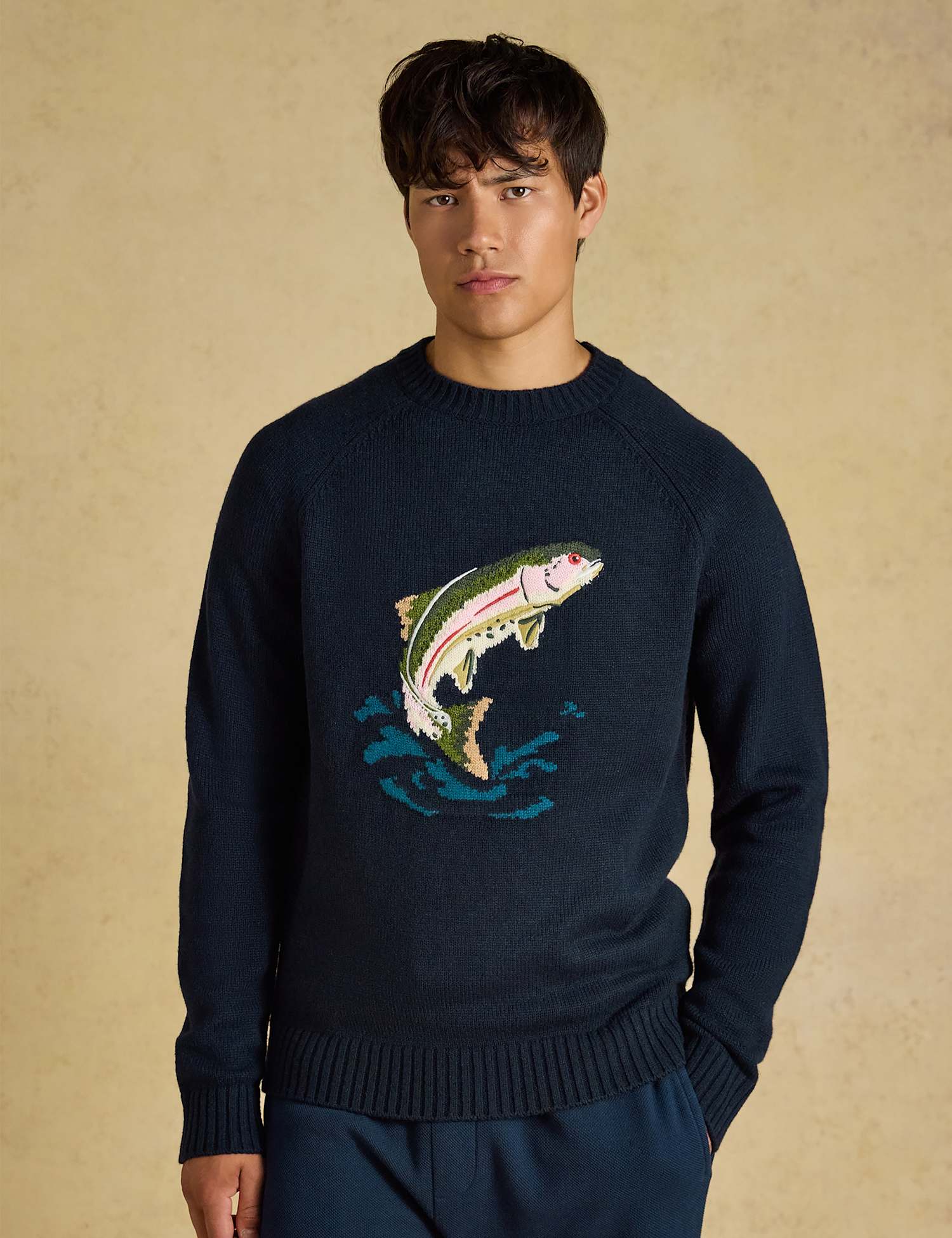 Joules Intarsia Fish Crew Neck Jumper with Wool Navy Mix