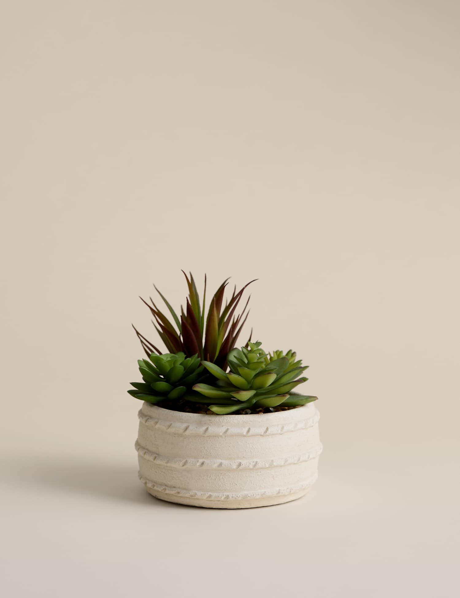 M&S Artificial Succulent in Ceramic Pot Natural