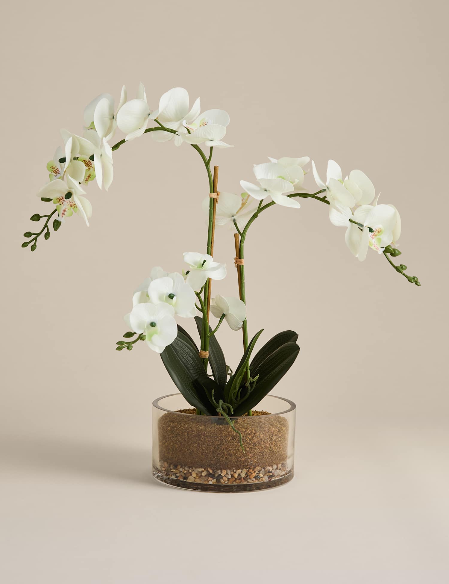 M&S Artificial Large Orchid in Glass Pot White