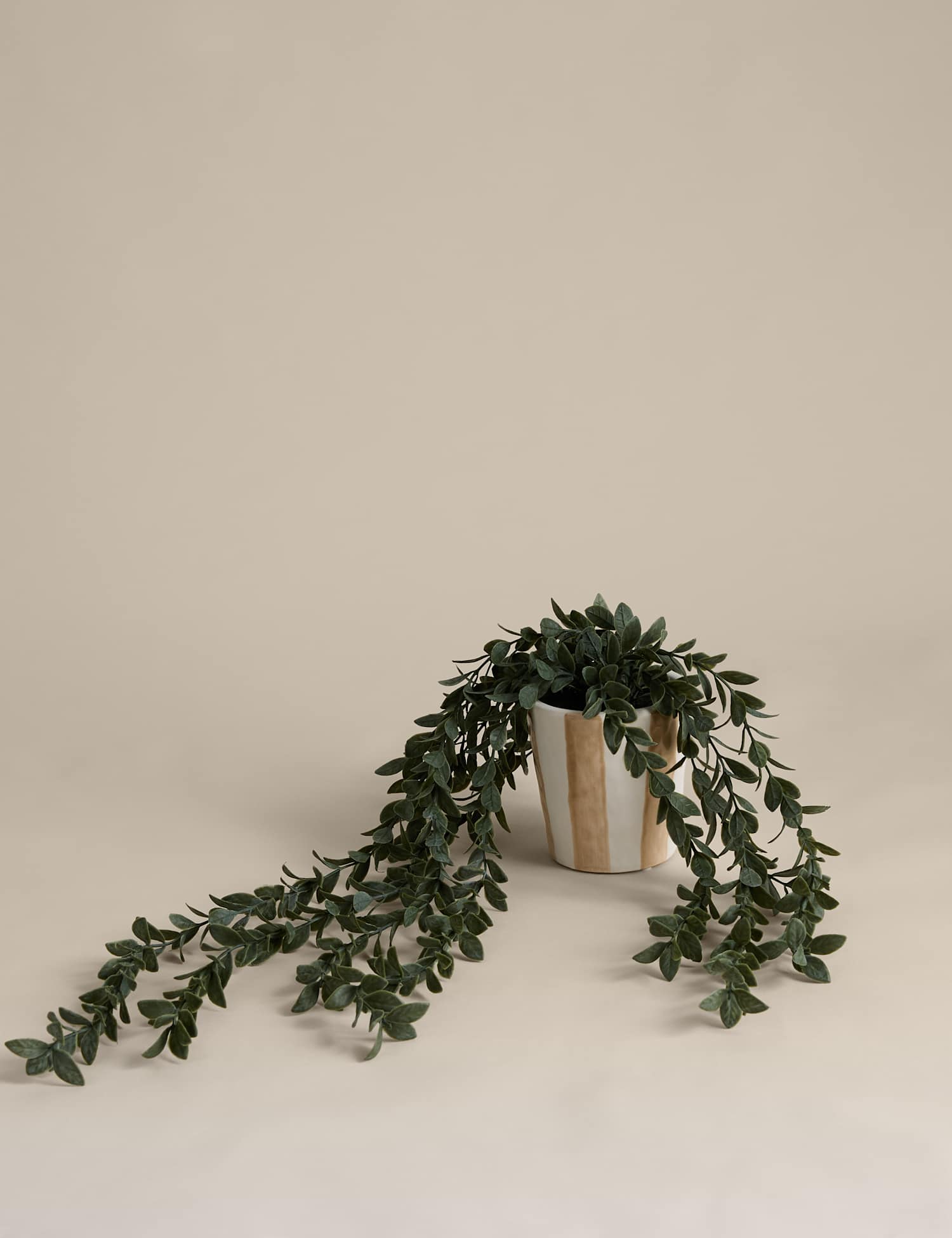 M&S Artificial Trailing Boxwood in Stripe Ceramic Pot Green