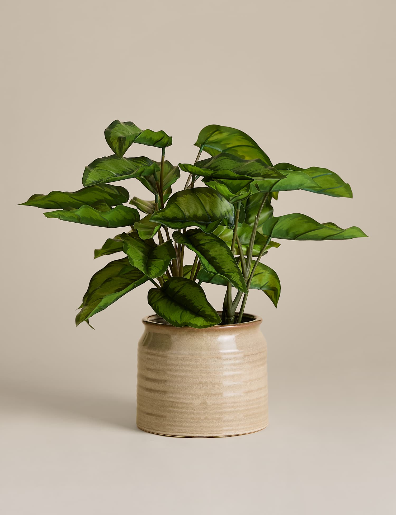 M&S Artificial Variated Leaf Plant in Ceramic Pot Natural