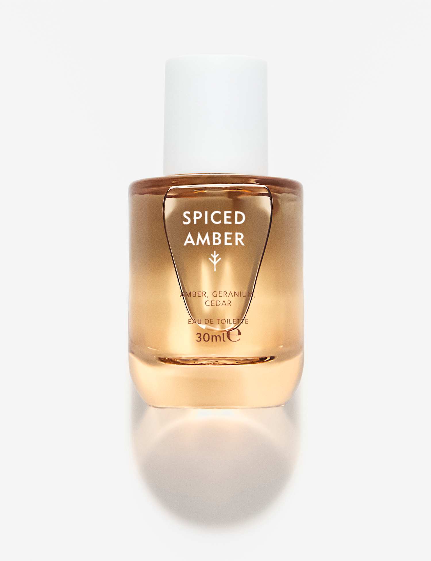 Discover Spiced Amber Eau De Toilette 30ml No Colour