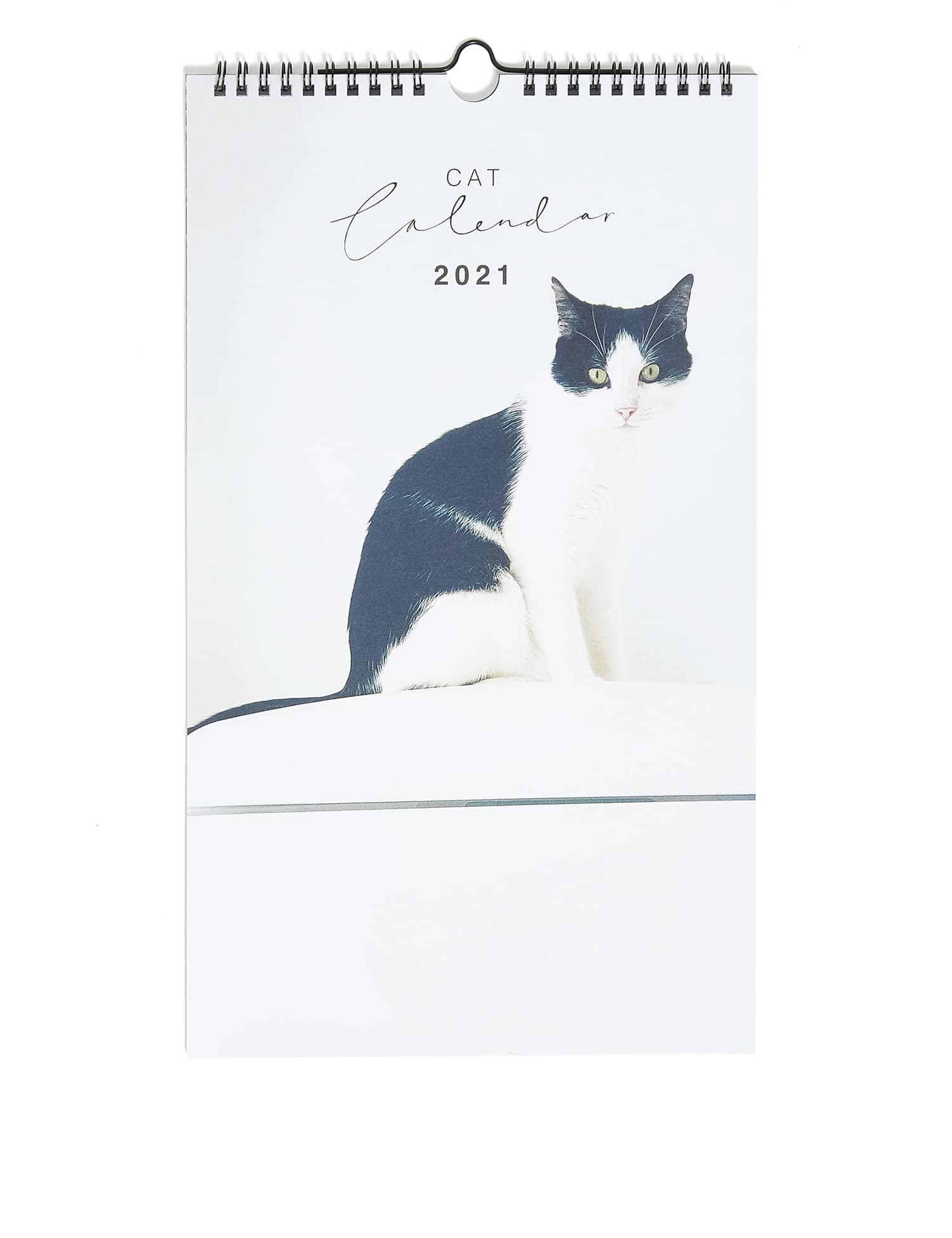 M&S Cat Lovers 2025 Photographic Calendar - Medium No Colour