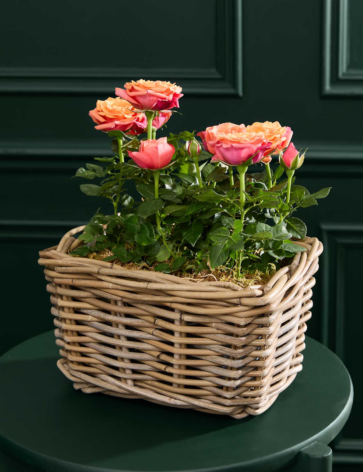 M&S Flower Market Luxury Rose Duo in Kubu Basket