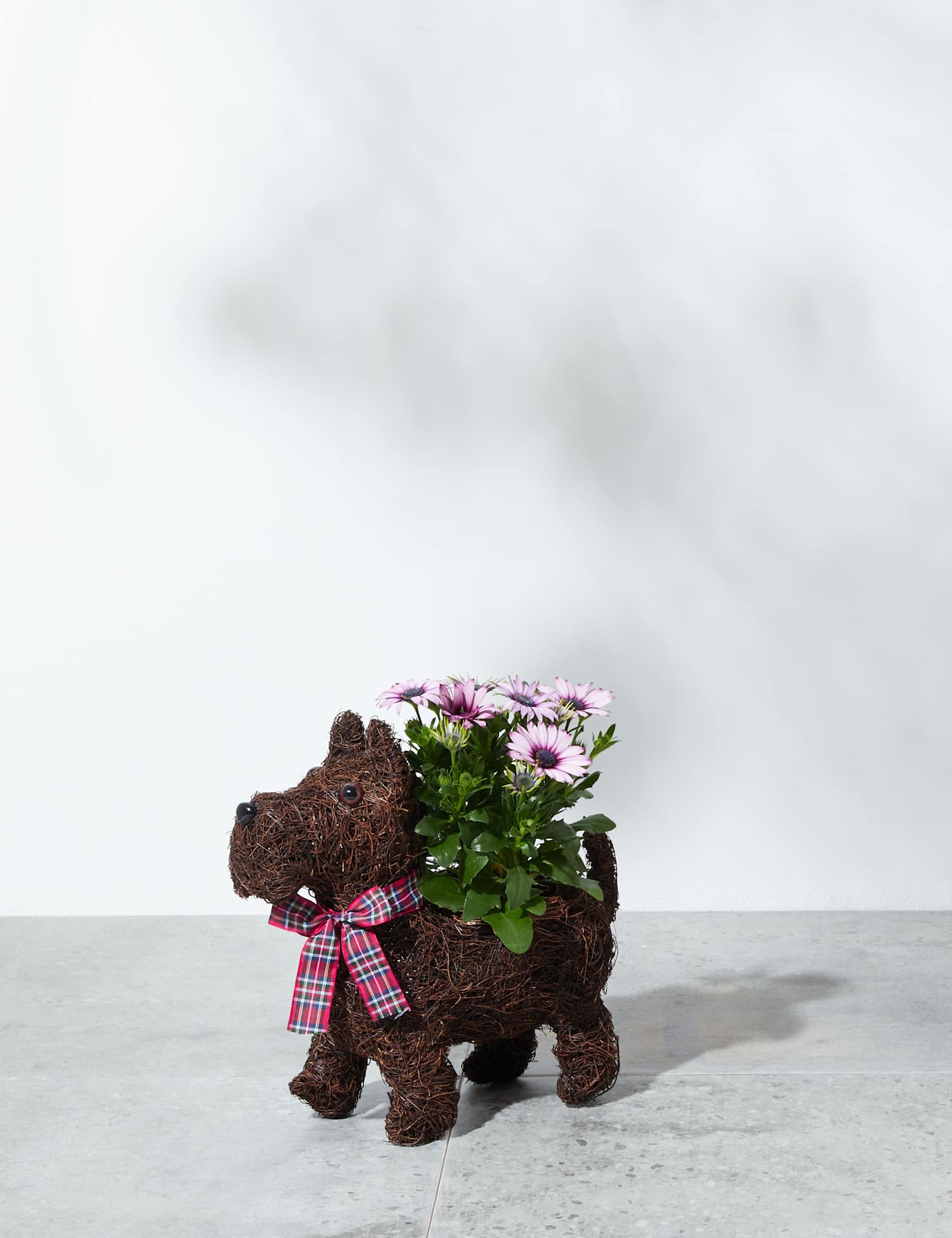 Image of M&S Novelty Scottie Dog