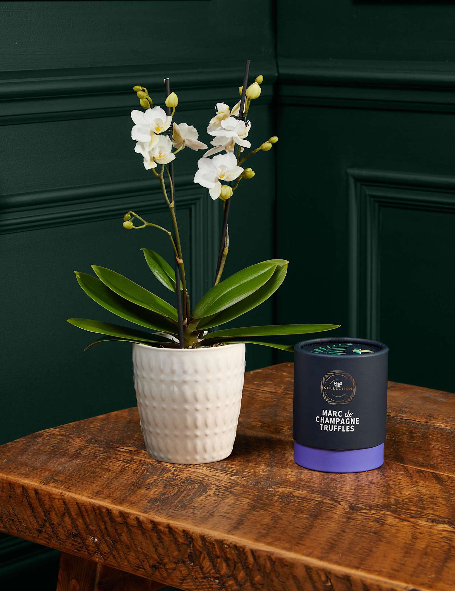 M&S Flower Market White Orchid with Marc De Champagne Chocolates